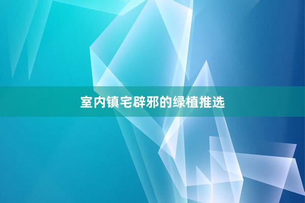 室内镇宅辟邪的绿植推选